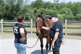 LR-WRF 762025 Retreat-1945